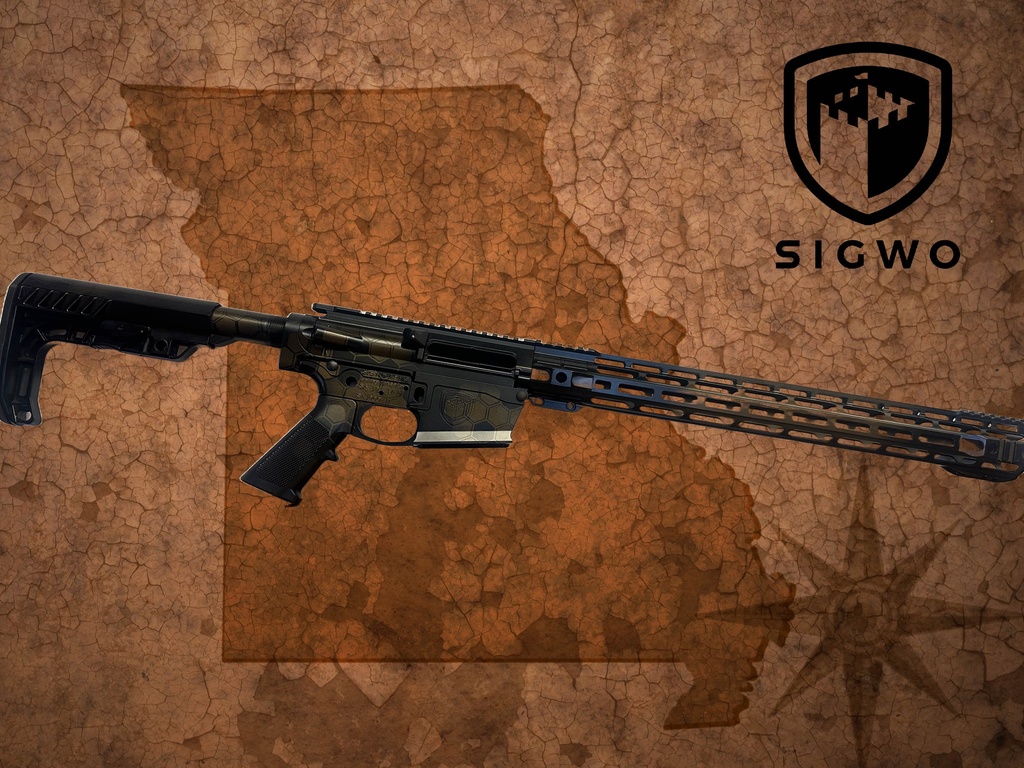 Black Customizable AR-10