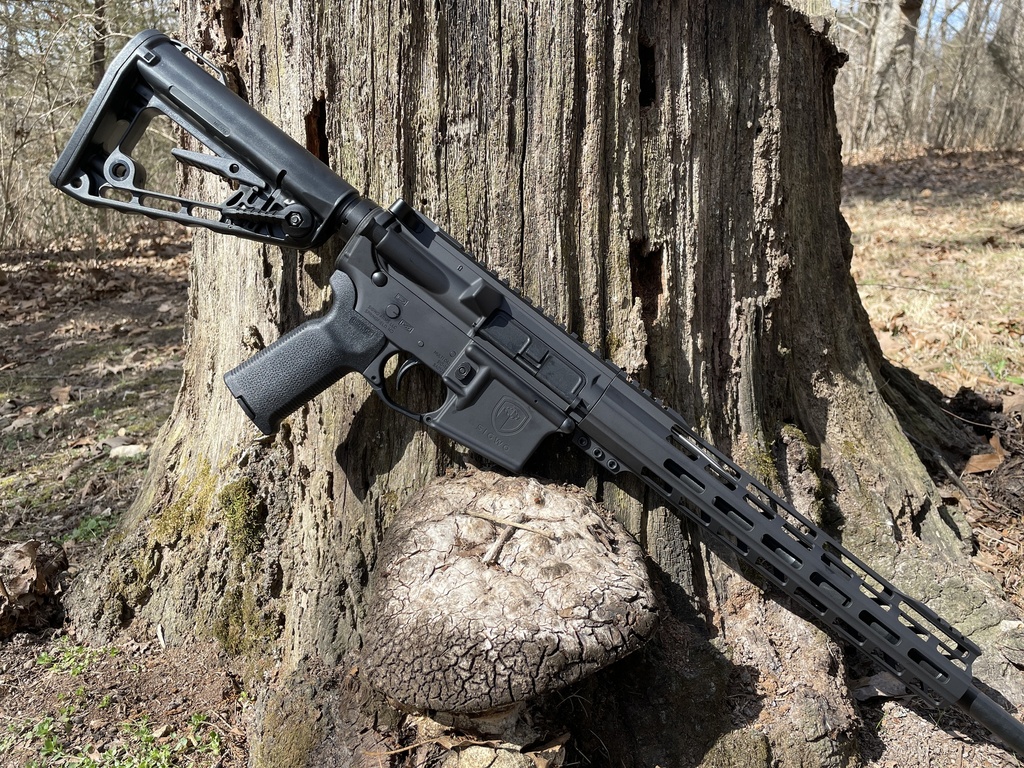 Sigwo Arms Black 16" AR-15